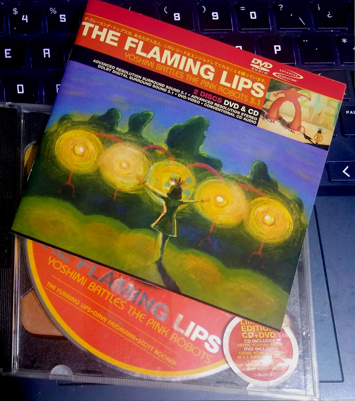 The Flaming Lips: Yoshimi Battles the Pink Robots